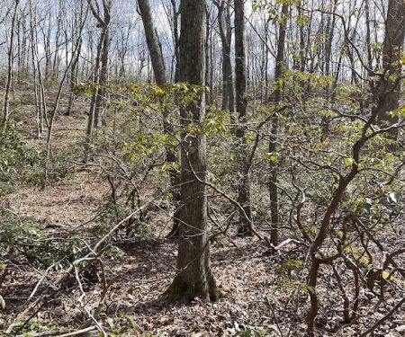 Butler-Huntington Woods
