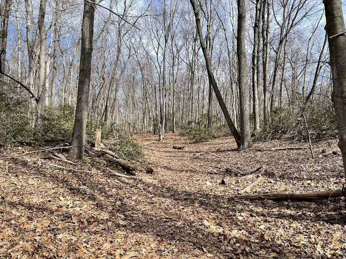 Butler-Huntington Woods Picture 6