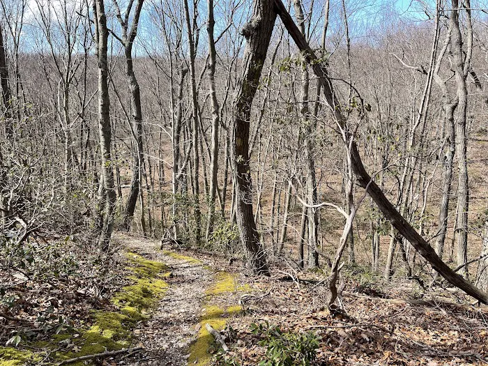 Butler-Huntington Woods Picture 3