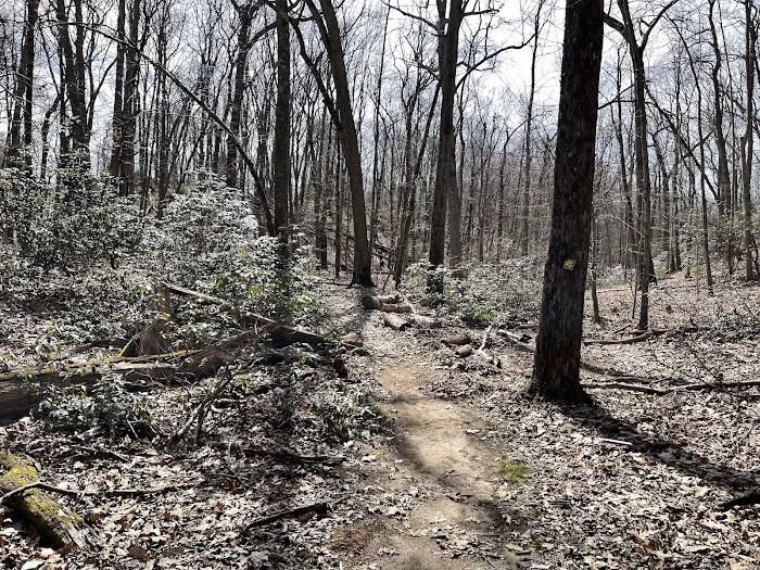 Butler-Huntington Woods Picture 5