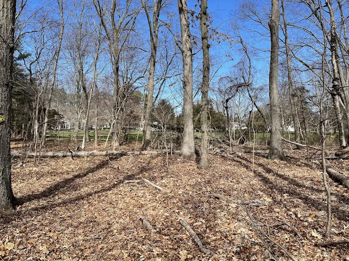 Butler-Huntington Woods Picture 4