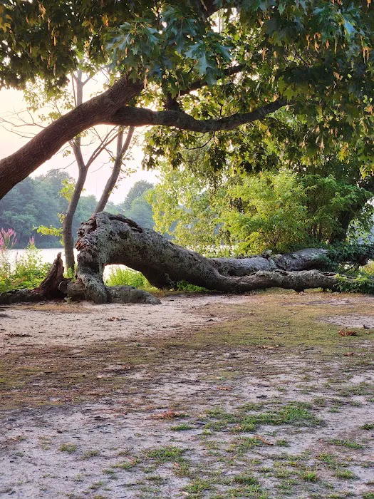 Brookwood Hall Park Picture 10