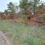 Edgewood trailhead- Long Island Ave