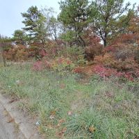 Edgewood trailhead- Long Island Ave ico