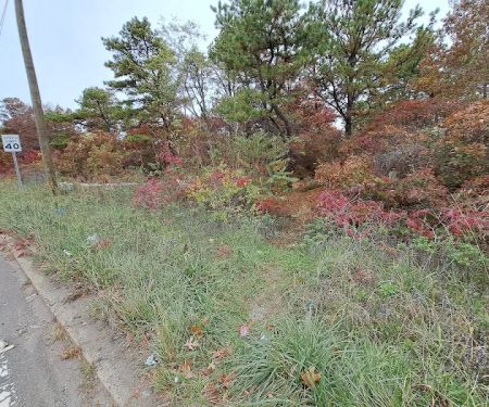 Edgewood trailhead- Long Island Ave