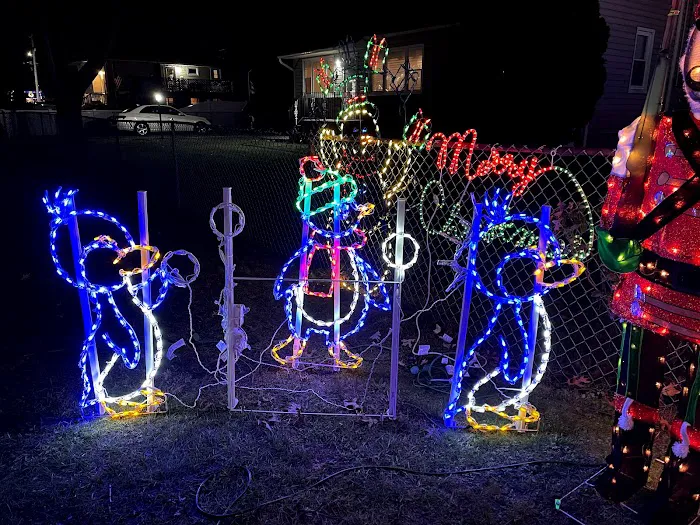 5th Street Christmas Lights Picture 5