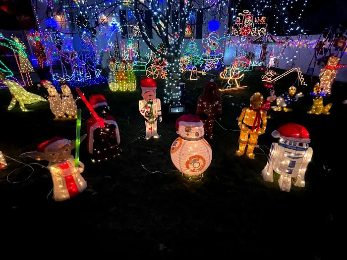5th Street Christmas Lights Picture 4