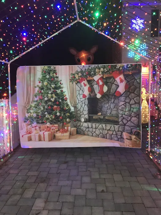 5th Street Christmas Lights Picture 7