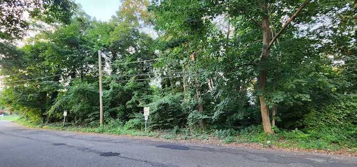 Jamerson's Woods Picture 2