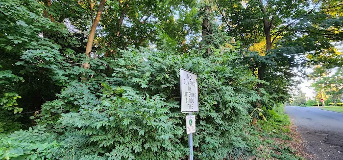 Jamerson's Woods Picture 6