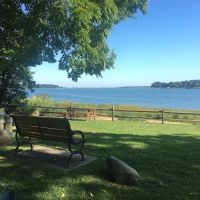 Cordwood Park ico