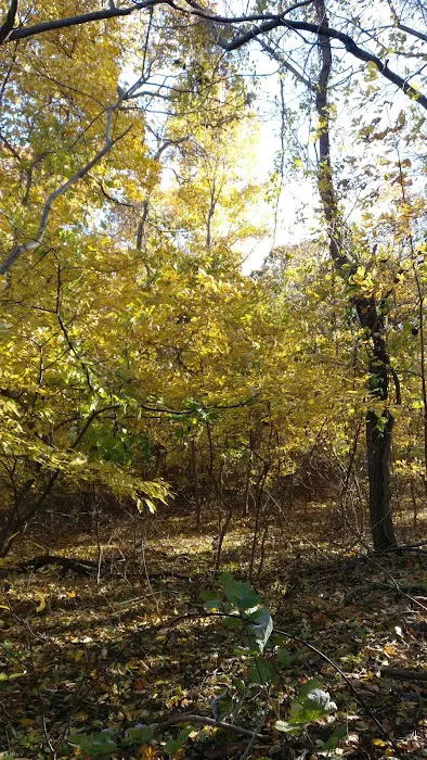 Arthur H Kunz County Park Picture 6