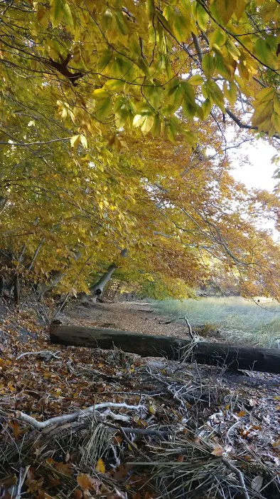 Arthur H Kunz County Park Picture 5