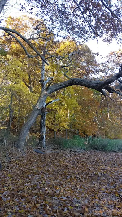 Arthur H Kunz County Park Picture 2