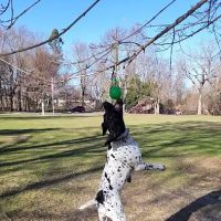 San Remo Park and Playground ico