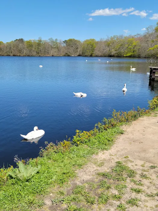 Connetquot River State Park Preserve Picture 6