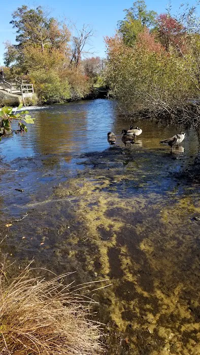 Connetquot River State Park Preserve Picture 9