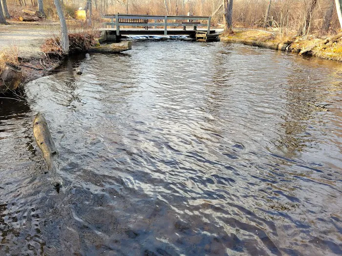 Connetquot River State Park Preserve Picture 10