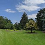 Bayard Cutting Arboretum