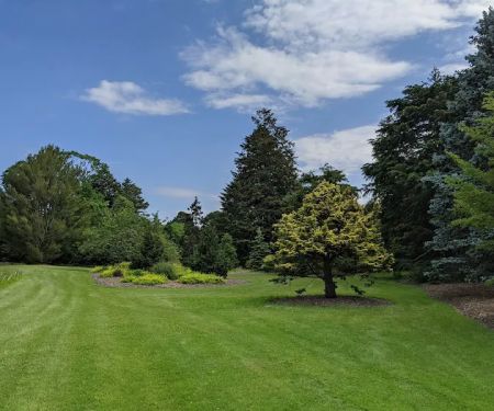 Bayard Cutting Arboretum