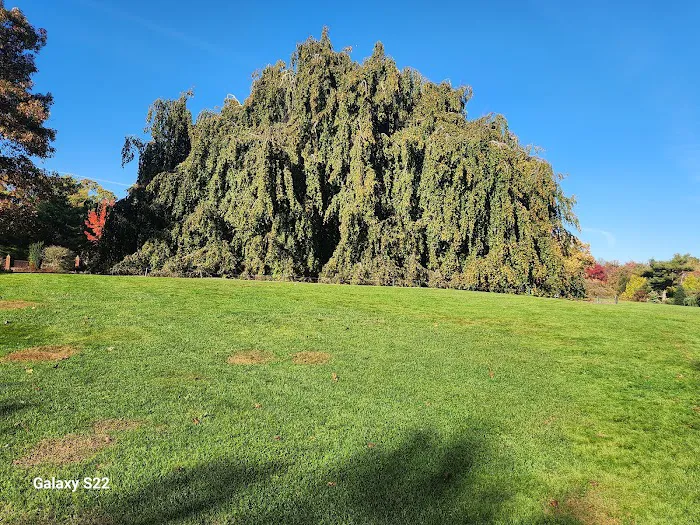 Bayard Cutting Arboretum Picture 8