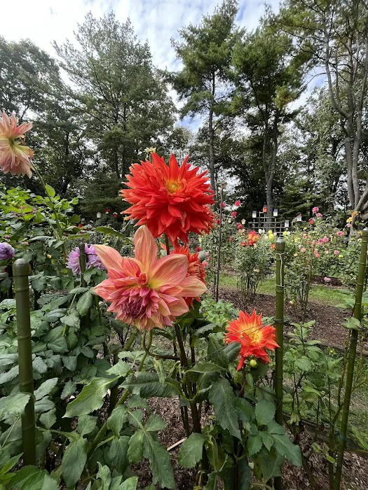 Bayard Cutting Arboretum Picture 7