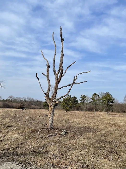 Edgewood Oak Brush Plains Preserve Picture 9