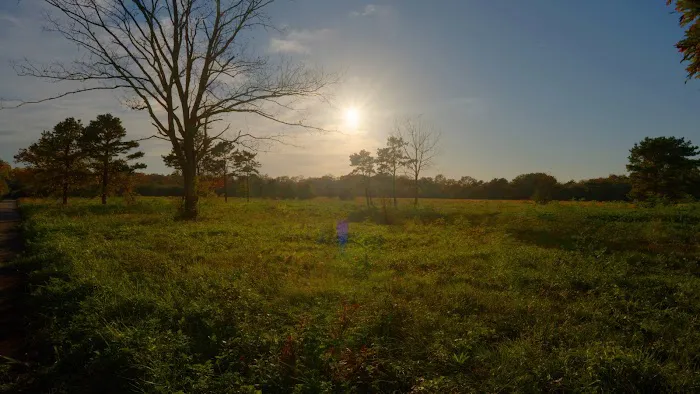 Edgewood Oak Brush Plains Preserve Picture 10