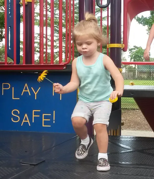 Pine Acres Park Picture 5