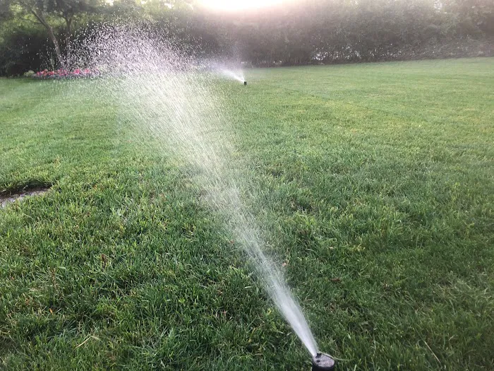 Videz lawn sprinkler systems Picture 2