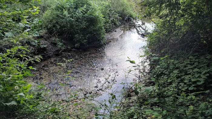Harrison Pond Park Picture 2