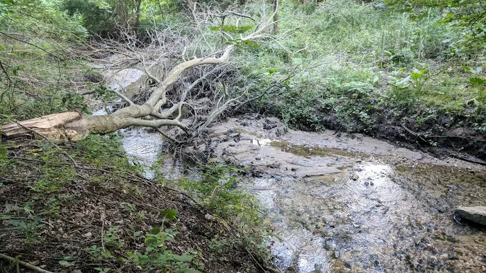 Harrison Pond Park Picture 6