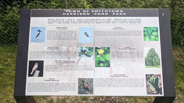 Harrison Pond Park Picture 5