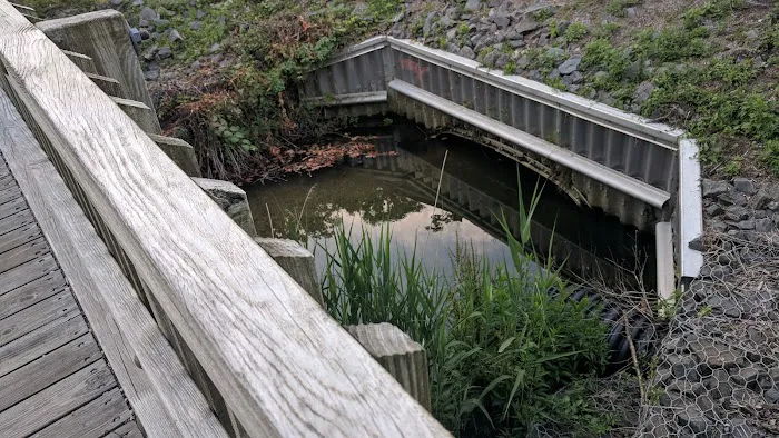 Harrison Pond Park Picture 9