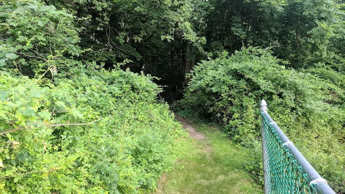 Harrison Pond Park Picture 8