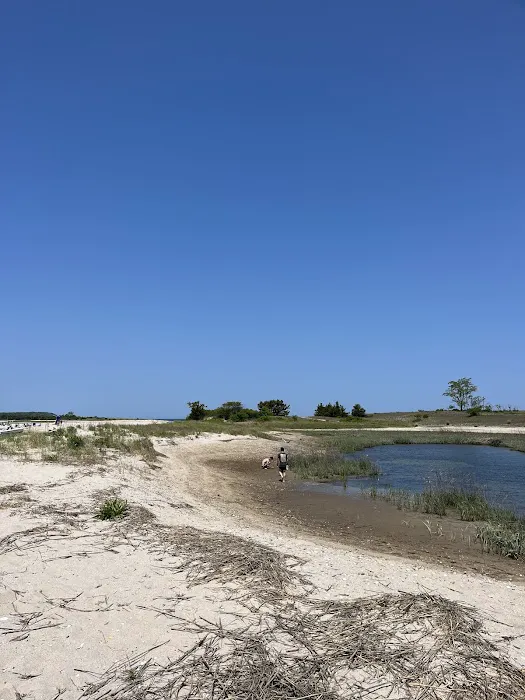 Nissequogue River State Park Picture 4
