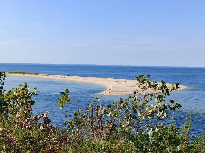 Kings Park Bluff Picture 1