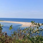 Kings Park Bluff
