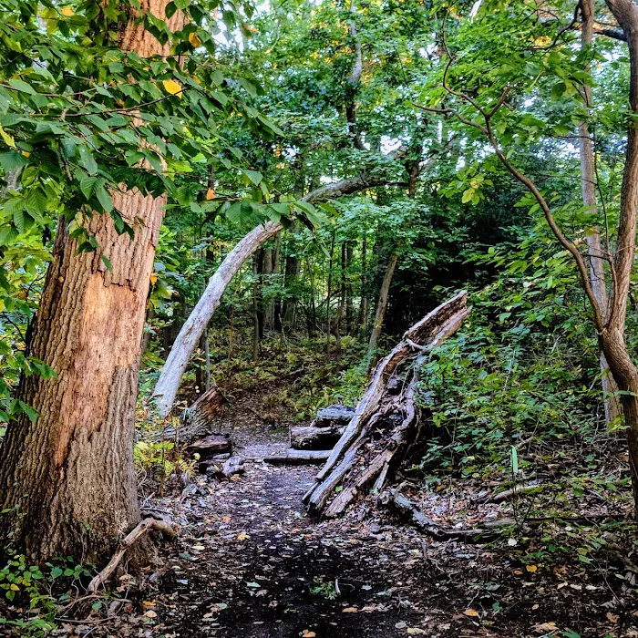 Veteran's Nature Study Area Picture 3