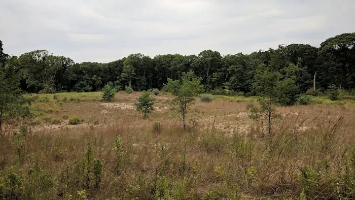 Veteran's Nature Study Area Picture 1
