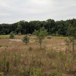 Veteran's Nature Study Area