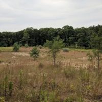 Veteran's Nature Study Area ico