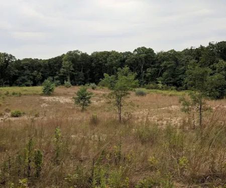 Veteran's Nature Study Area