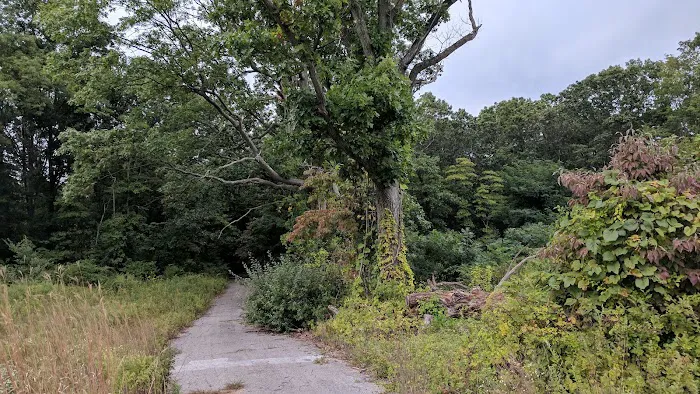 Veteran's Nature Study Area Picture 8