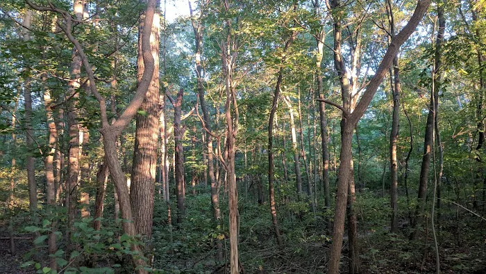 Veteran's Nature Study Area Picture 6