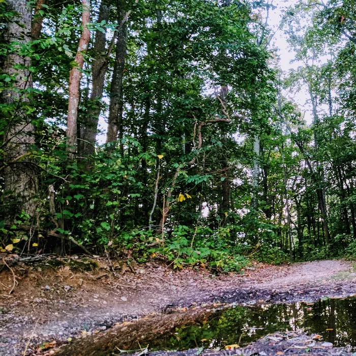 Veteran's Nature Study Area Picture 5