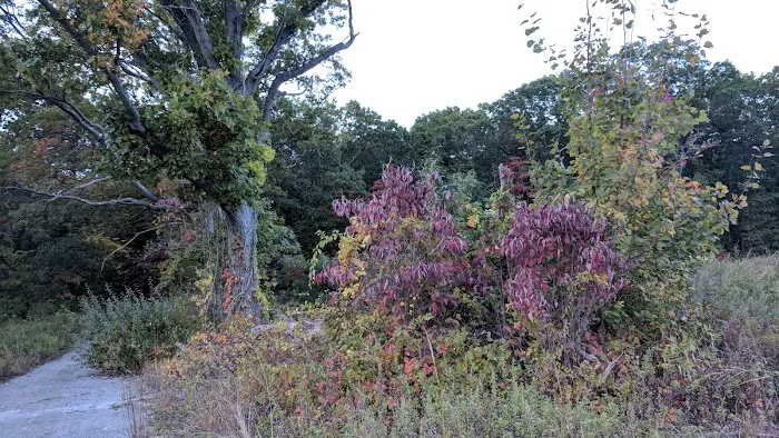 Veteran's Nature Study Area Picture 7