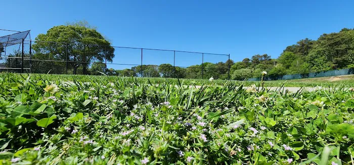 Greentree Park Picture 4