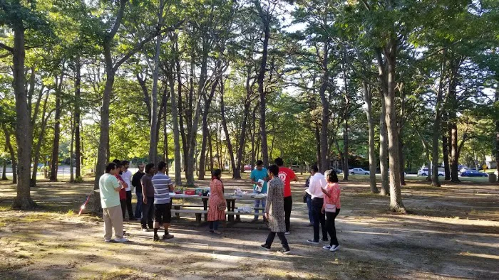 Strathmore Park Picture 3