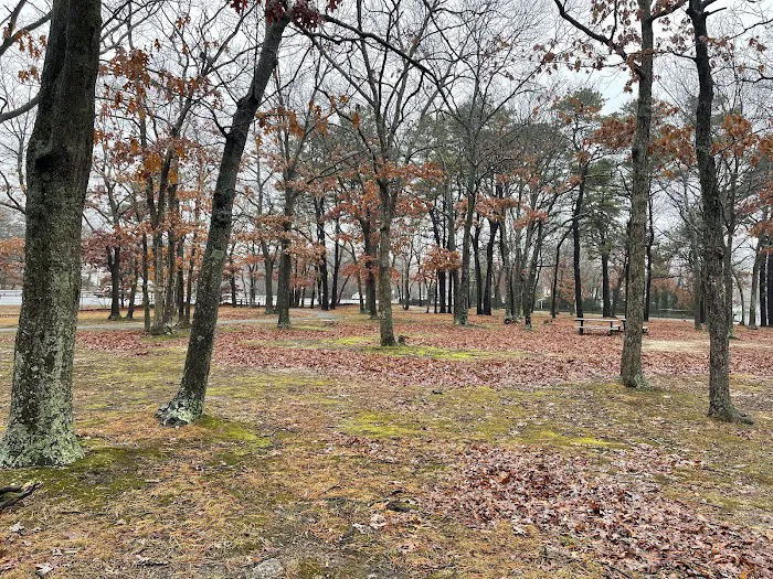 Strathmore Park Picture 9